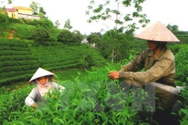 Les points forts de Thai Nguyen présentés aux entreprises américaines 