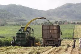 Le 12e Congrès du Parti : le développement agricole associé à l'édification d'une Nouvelle ruralité