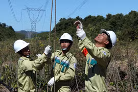 Approvisionnement en électricité pour les districts de Bac Tra My et de Nam Tra My