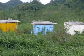 Une journée à Môc Châu