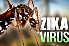 Zika: Ho Chi Minh-Ville déclare une épidémie au niveau de la commune et du quartier