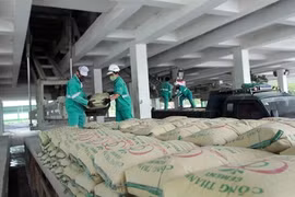 Thanh Hoa s’efforce au mieux de doper ses exportations