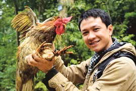 Le coq à neuf ergots, un cadeau de luxe