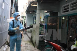 Deux nouveaux cas de Zika découverts à Hô Chi Minh-Ville