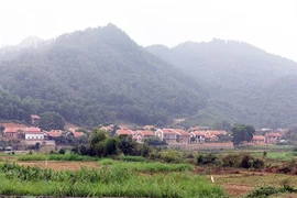 Durcissement prévu dans la gestion foncière au Vietnam