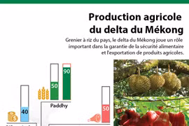 Delta du Mékong, grenier à riz du Vietnam