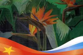 Des peintures vietnamiennes sur soie présentées en Russie