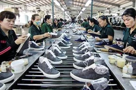 De nombreux produits vietnamiens bénéficieront des privilèges de la Russie