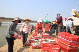 Hécatombe de poissons : poursuite du soutien des pêcheurs