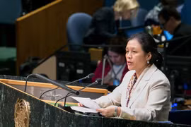 Le Vietnam appelle la communauté internationale à édifier un monde de paix et de sécurité