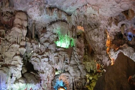 Thiên Hà, une galaxie nichée dans la montagne à Ninh Binh