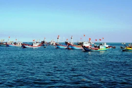 Vietnam-Chine : négociations sur la coopération dans les secteurs peu sensibles en mer 