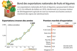 Bond des exportations nationales de fruits et légumes