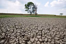 Des mesures efficaces pour faire face aux changements climatiques
