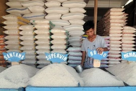 L'Indonésie exportera 100.000 tonnes de riz vers dix pays asiatiques et européens