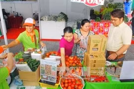 Le programme «Connexion verte en faveur d’une agriculture durable» débute à Hô Chi Minh-Ville