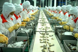 Aquaculture : plus de 3 milliards de dollars d'exportations au premier semestre