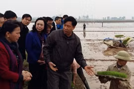 Nguyên Thi Kim Ngân salue le modèle de la Nouvelle ruralité à Hanoi 