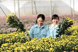 Développer l’agriculture high-tech au service de la modernisation de l’agriculture