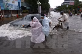 L'Allemagne aide Can Tho dans le traitement des eaux usées