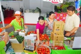 Le programme «Connexion verte en faveur d’une agriculture durable» débute à Hô Chi Minh-Ville
