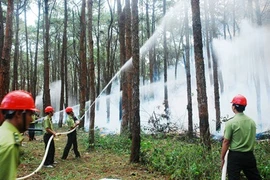 Dak Nong met l'accent sur la prévention des incendies à la saison sèche 