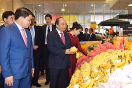 Promotion commerciale et culturelle du Vietnam au Japon