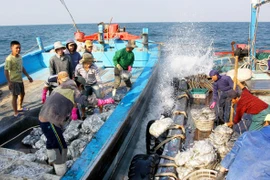 Aquaculture : le Vietnam adhère à l’accord PSMA de la FAO