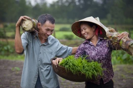 Acquis importants du Vietnam dans le domaine de l’égalité des sexes