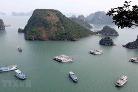 Hai Phong et Quang Ninh tissent des liens pour développer le tourisme