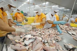 Accélérer les exportations des produits aquatiques vers le Brésil