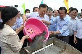 Vietnam et Chine relâchent des géniteurs dans le golfe du Bac Bo