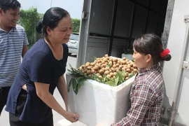 Hanoï exporte 19 tonnes de longanes aux Etats-Unis et en Europe