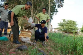 Des mesures pour préserver la biodiversité du parc national d’U Minh Thuong