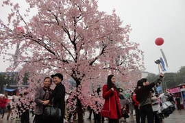 Une riche palette d’activités à la Fête d'échanges culturels Vietnam-Japon