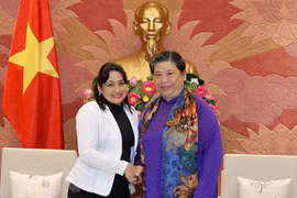 Promouvoir les relations des jeunesses vietnamiennes et cubaines