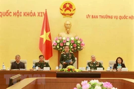 Un vice-président de l'AN rencontre des anciens combattants au front Vi Xuyên