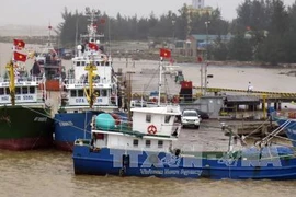 Le Japon offre des lampes à LED aux bateaux de pêche de Quang Tri