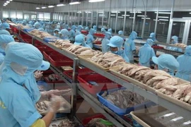 Des avantages apportés par des ALE pour l’aquaculture du Vietnam