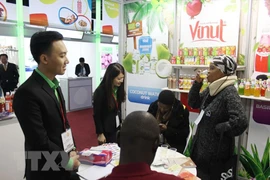 Colloque ''Faire des affaires avec le Vietnam'' à Johannesburg