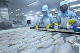 Les exportations de pangasius sont prometteuses