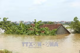 Nord : pluies et crues font 6 morts et 5 disparus