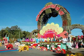 Balade dans les allées du 7e Festival des fleurs de Da Lat