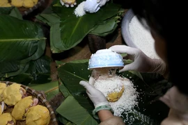 Tranh Khuc, village de confection du Banh chung