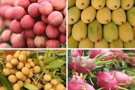 Les exportations de fruits et légumes du Vietnam devrait dépasser 4 milliards de dollars