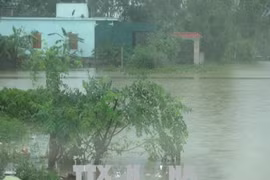 La tempête Son Tinh s’est affaiblie en dépression tropicale