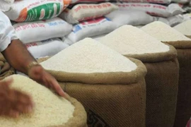 Riz : les exportations du Vietnam vers la Malaisie en forte croissance