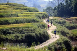 Lao Cai : Plus de 3.100 coureurs au marathon des montagnes du Vietnam 2018