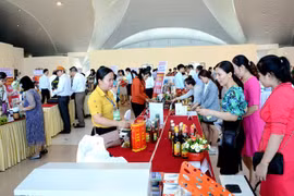 Da Nang : connexion entre l’offre et la demande entre les entreprises