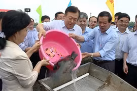Vietnam et Chine relâchent des géniteurs dans le golfe du Bac Bo